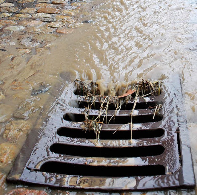 Ob Oberflchenwasser schlussendlich au...tmer am besten bei Regen feststellen.  | Foto: BZ