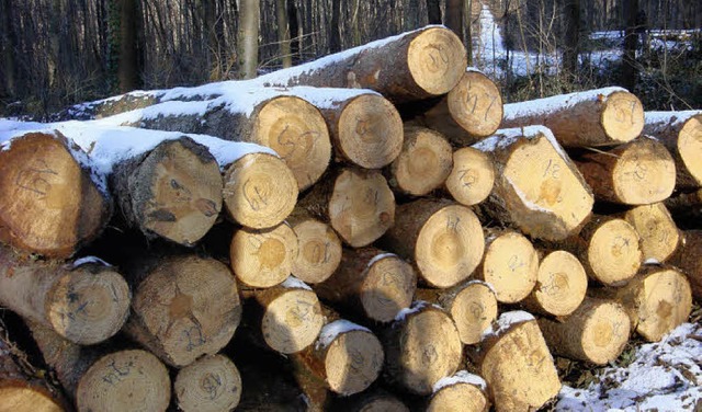 Der Schnauer Wald wirft nicht nur Laub ab.   | Foto: BZ