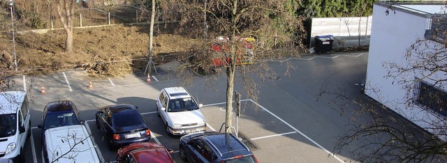 Der Bambus ist weitgehend gerodet, das... dem Lebensmittelmarkt genutzt werden.  | Foto: Langelott