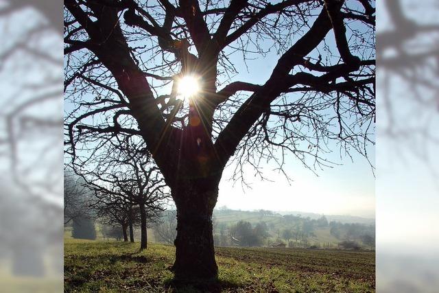 Die Sonne machte keine berstunden