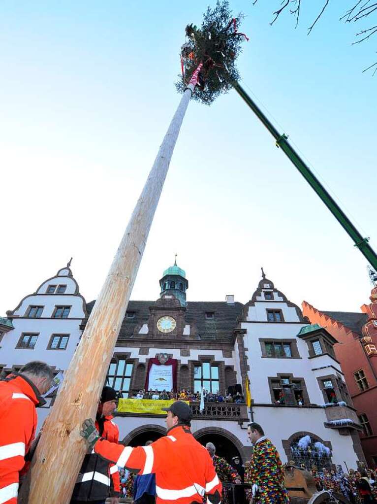 Die Stadt stellt den Narrenbaum