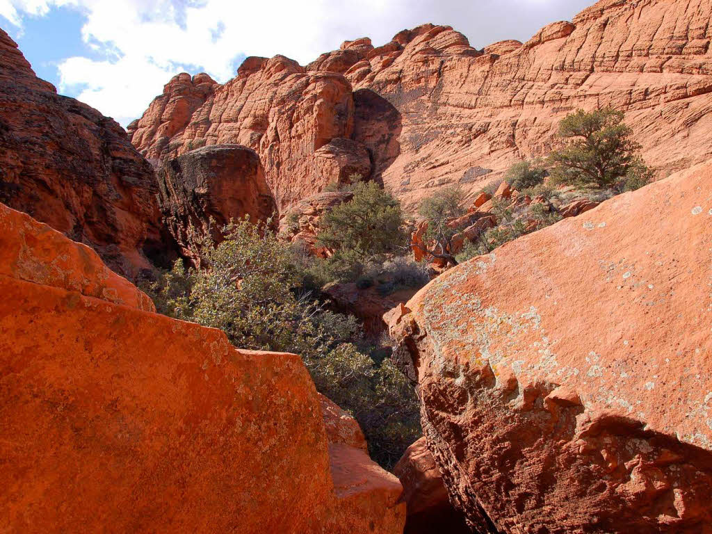 Snow Canyon: Rote Felsen, blauer Himmel. Hier wurden einige Hollywood-Filme gedreht.