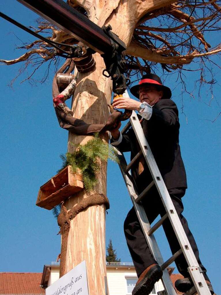 Vorher nie, jetzt gleich zweimal: Die Laufenburger Wlder stellen ihren Narrenbaum.