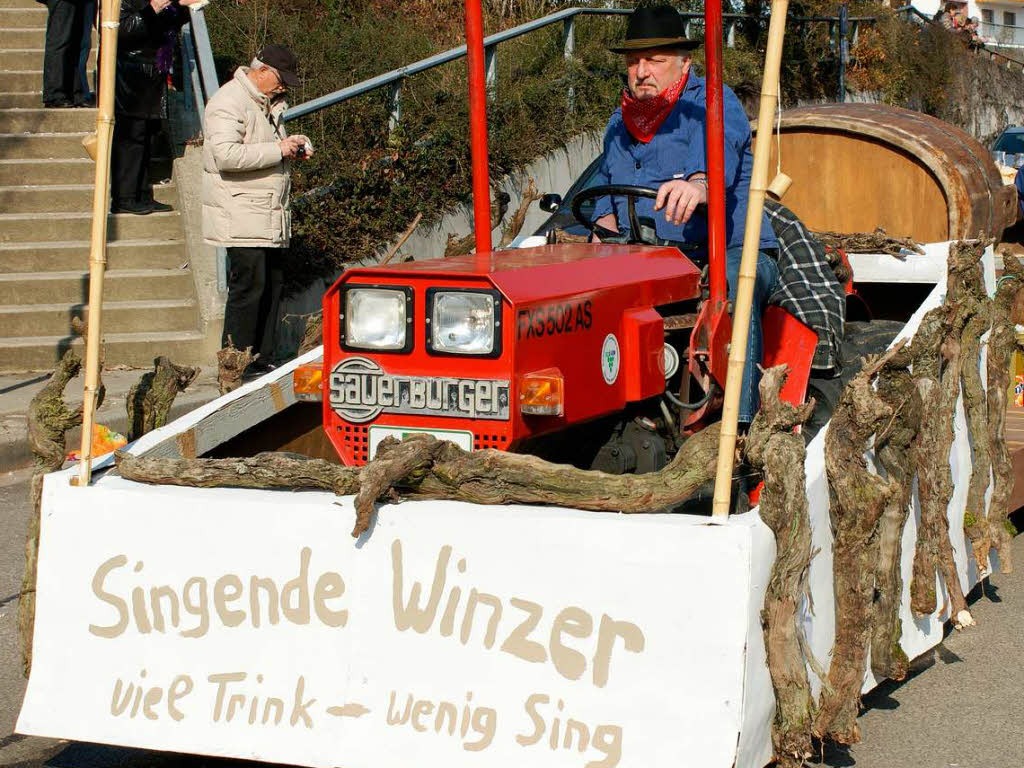 Impressionen vom Fasnetumzug in Wasenweiler