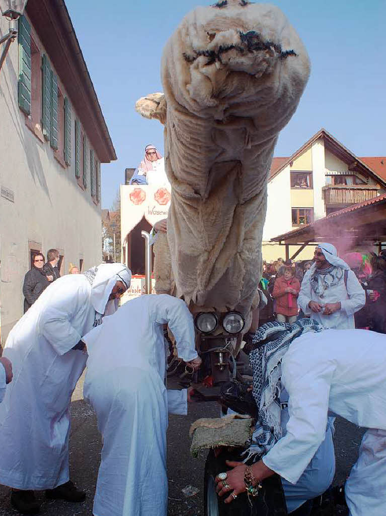 Impressionen vom Fasnetumzug in Wasenweiler