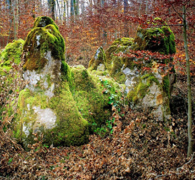 Mythische Steinkreise oder interessant...lsen auf dem Behlen geben Rtsel auf.   | Foto: Birgit-Cathrin Duval