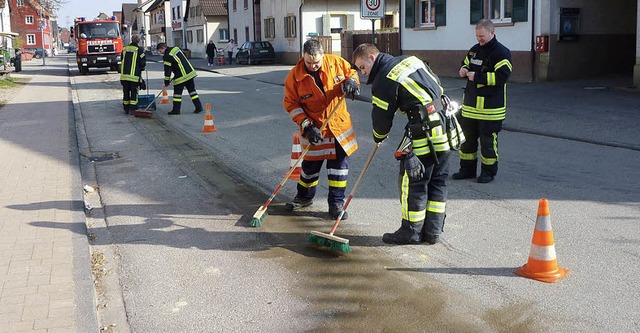 Eine lspur wurde mit Bindemittel beseitigt.  | Foto: Feuerwehr Rheinhausen