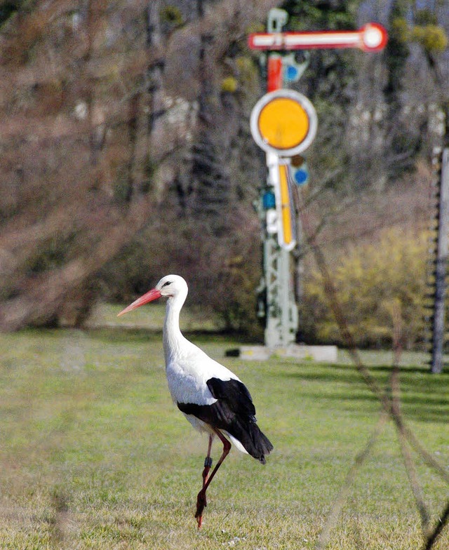   | Foto: Jochen Fillisch