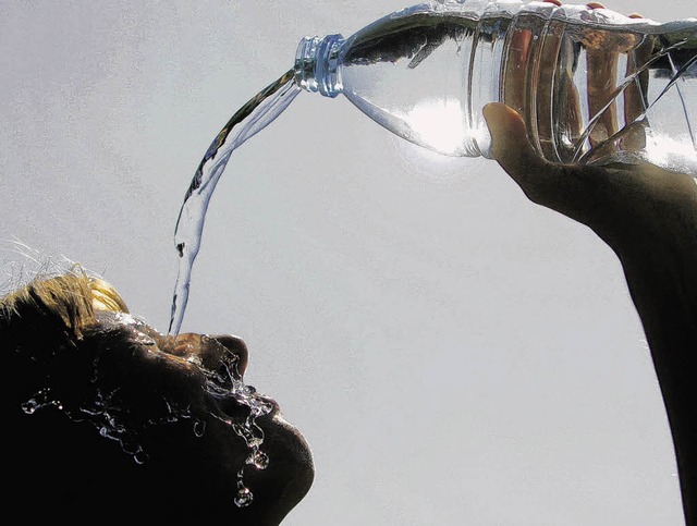 Das Hfinger Quellwasser darf bald aus Flaschen sprudeln.   | Foto: dpa