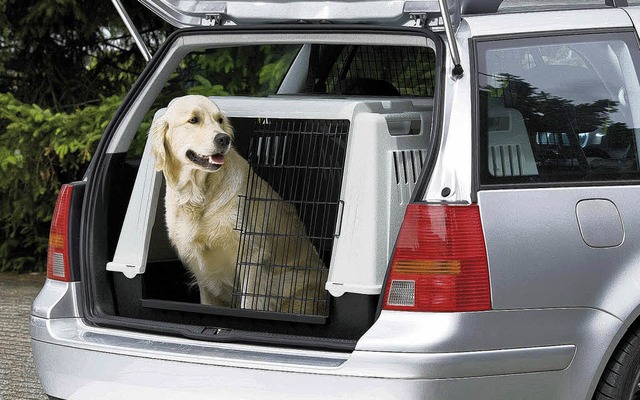 Hundetransport im Auto  | Foto: SP-X