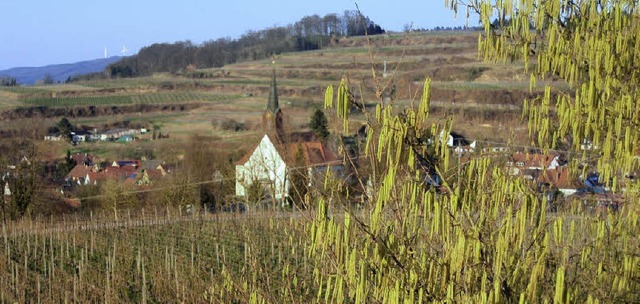   | Foto: Reiner Merz