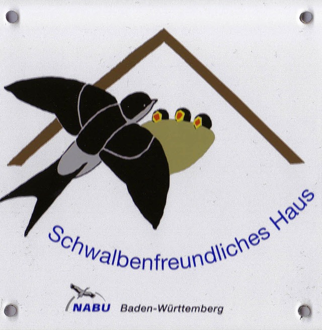 Die Naturschtzer in Grafenhausen bete... fr Rauch- und Mehlschwalben schaffen  | Foto: Christiane Seifried
