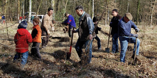 Pflanztag in Reute: Die freiwilligen H...im Gewann &#8222;Heule&#8220; gesetzt.  | Foto: Pia Grttinger