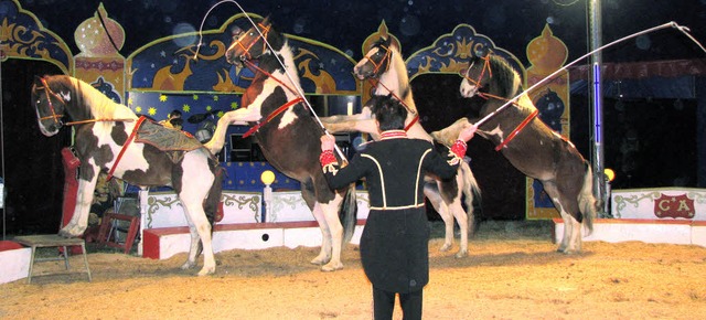 Die Pinto-Schecken gehorchen dem Zirku...e Ziegen-Nummer riss das Publikum mit.  | Foto: Kristin Fritz