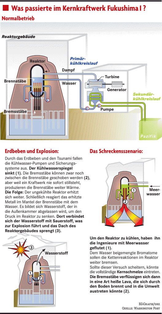 Reaktor außer Kontrolle Panorama Badische Zeitung