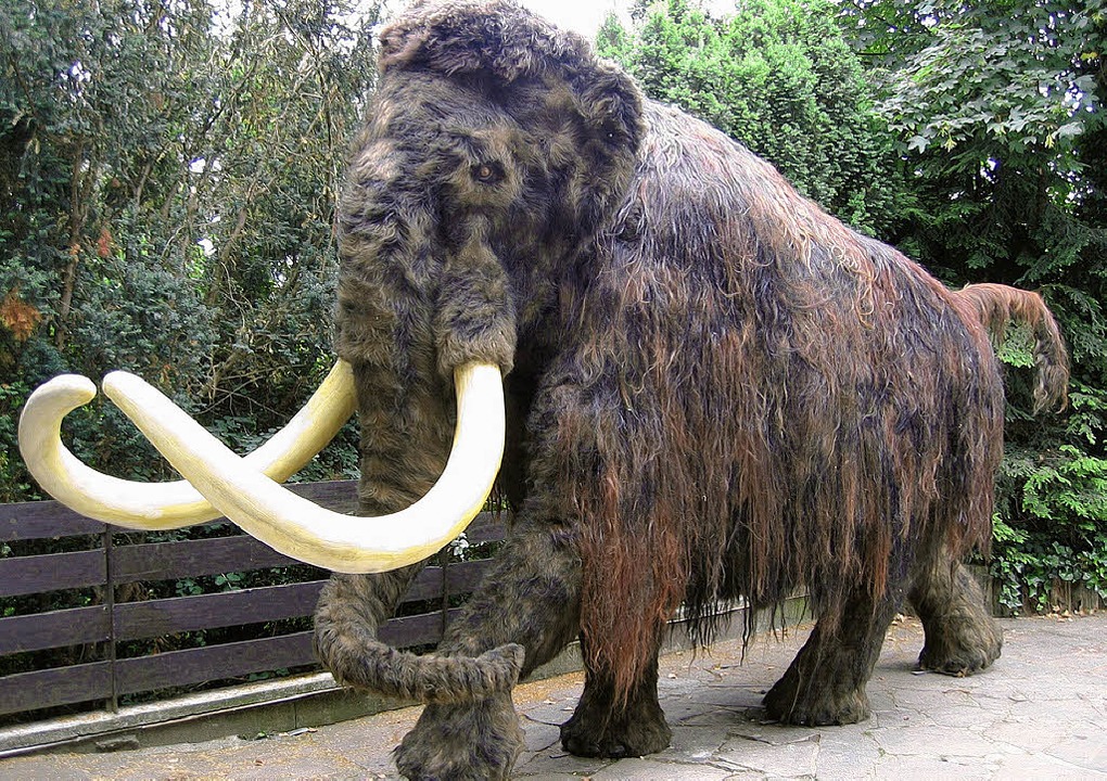 MAMMUT Freizeittipps Badische Zeitung MAMMUT Freizeittipps Badische Zeitung