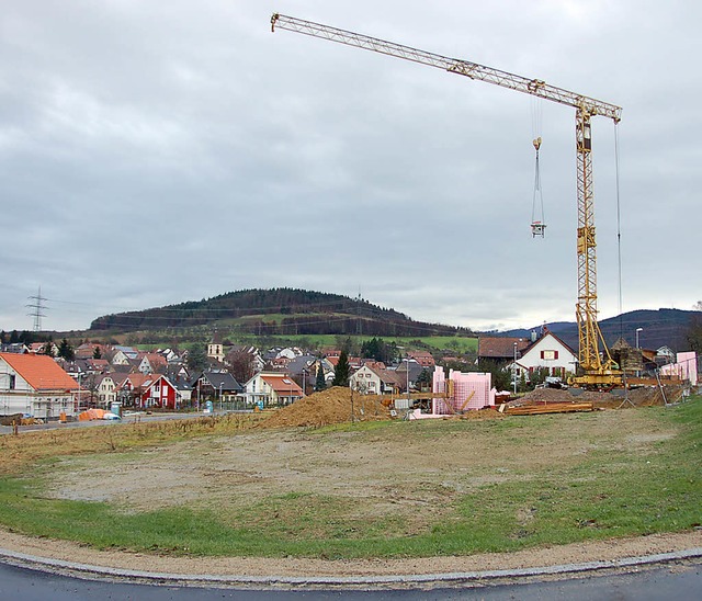 In der Niederen Hofrtte will auch der...n bei der Begrnung Kosten zu spren.   | Foto: Maier