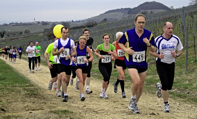 Mit dem Sulzburger Frhlingslauf begin...durch die Weinberge rund um Sulzburg.   | Foto: Winfried Stinn