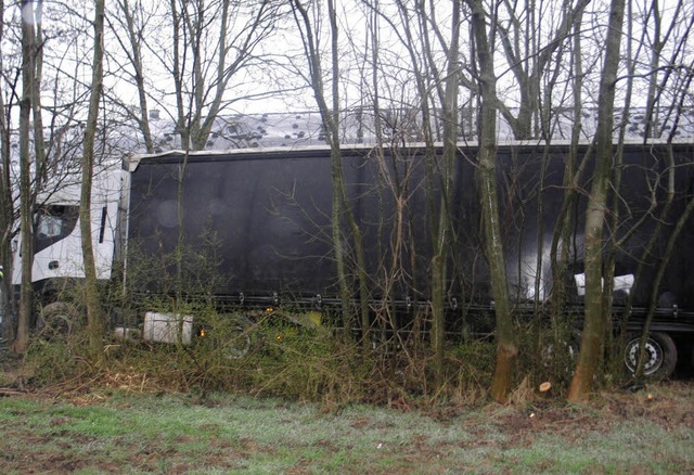 Dieser Lkw kam  bei Neuenburg von der ...ab. Zum Bergen wurden Bume gefllt.    | Foto: Polizei