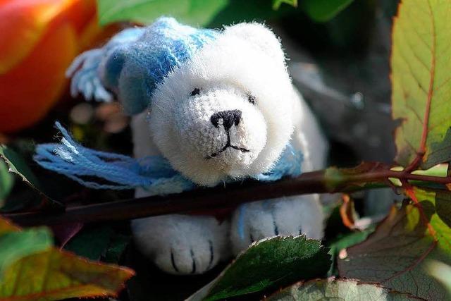 Fotos: Knut ist tot – Trauer um den Eisbren der Herzen
