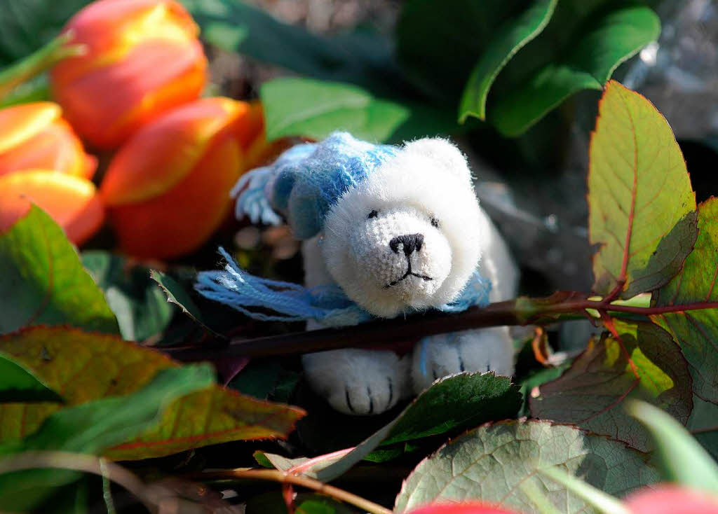 Seine eigenen Souvenirs begleiten Knut bis in den Tod