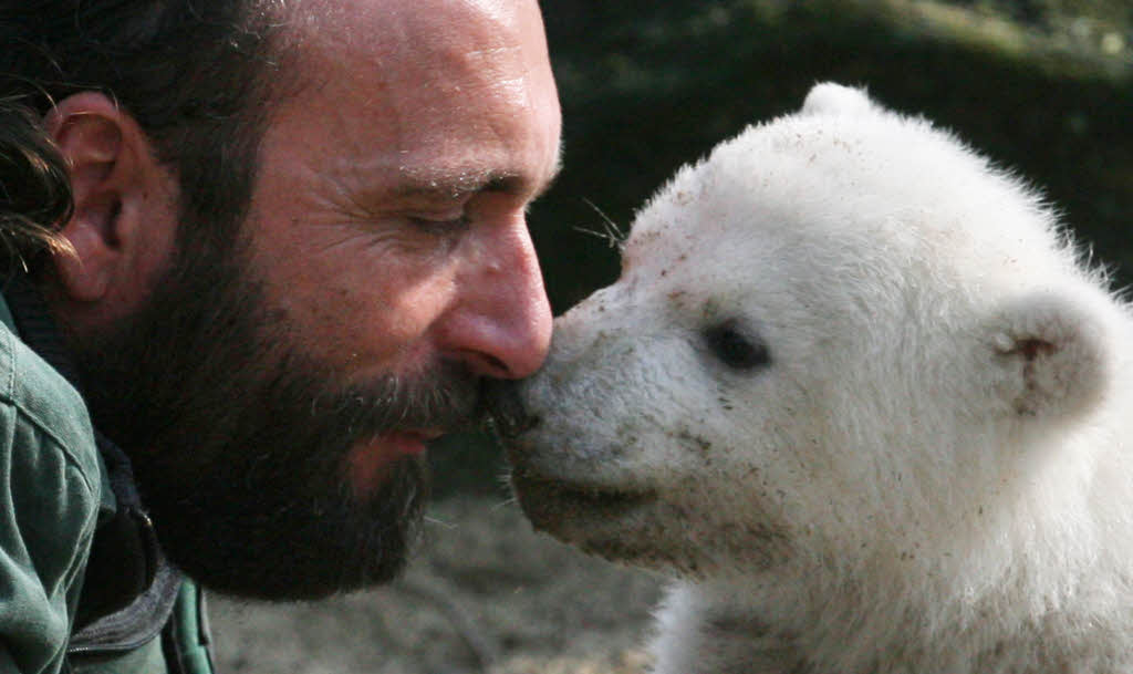 Thomas Drflein, der mit Knut ein Medienstar wurde, starb im September 2008.