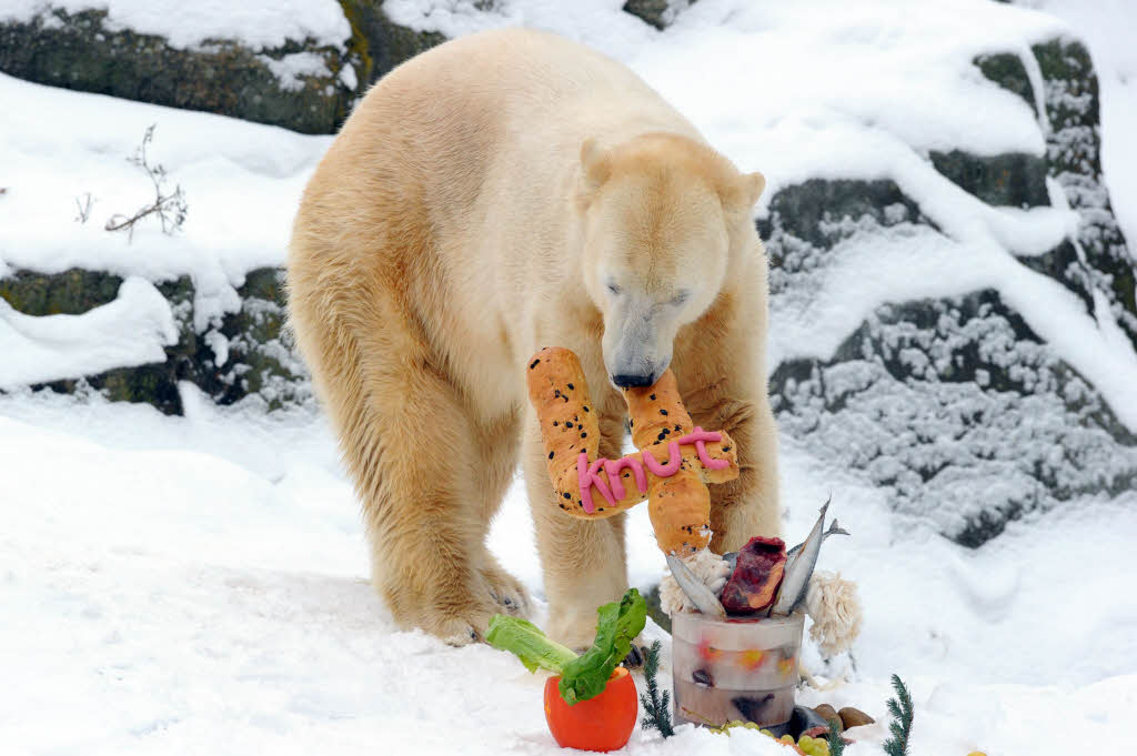 Knuts vierter Geburtstag