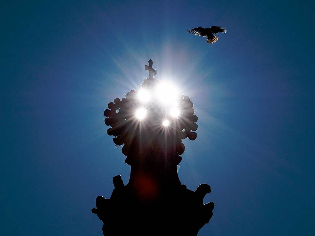 Ein Vogel landet in Dresden auf dem Kreuz der Krone des Kronentors am Zwinger. Ein Vogel landet in Dresden auf dem Kreuz der Krone des Kronentors am Zwinger.