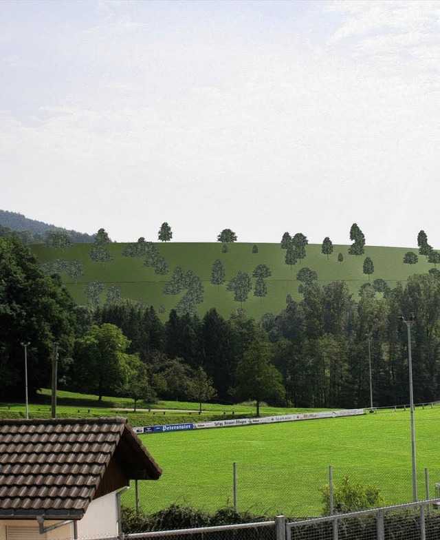 Die Staumauer des Haselbeckens soll au...de auch nach den Ereignissen in Japan.  | Foto: bz