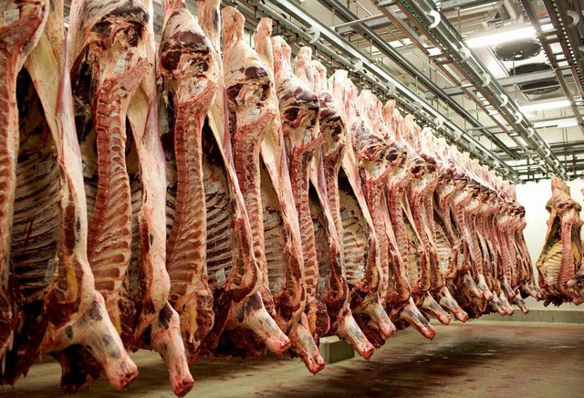 Ein Fleischkontrolleur klagt die Zustnde in den Schlachthfen an.  | Foto: ddp