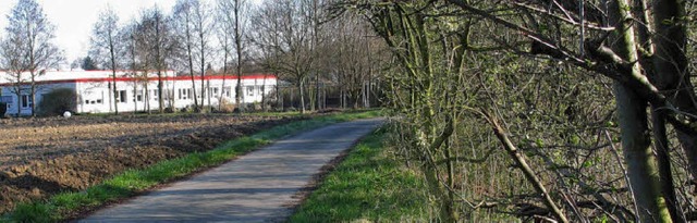 Biologisch wertvoller Lebensraum ist die Hecke am Radweg im Kapellengrn  | Foto: Jutta Schtz