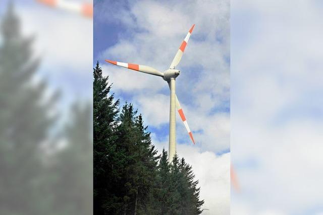 Mnstertal entscheidet ber die Windkraftnutzung