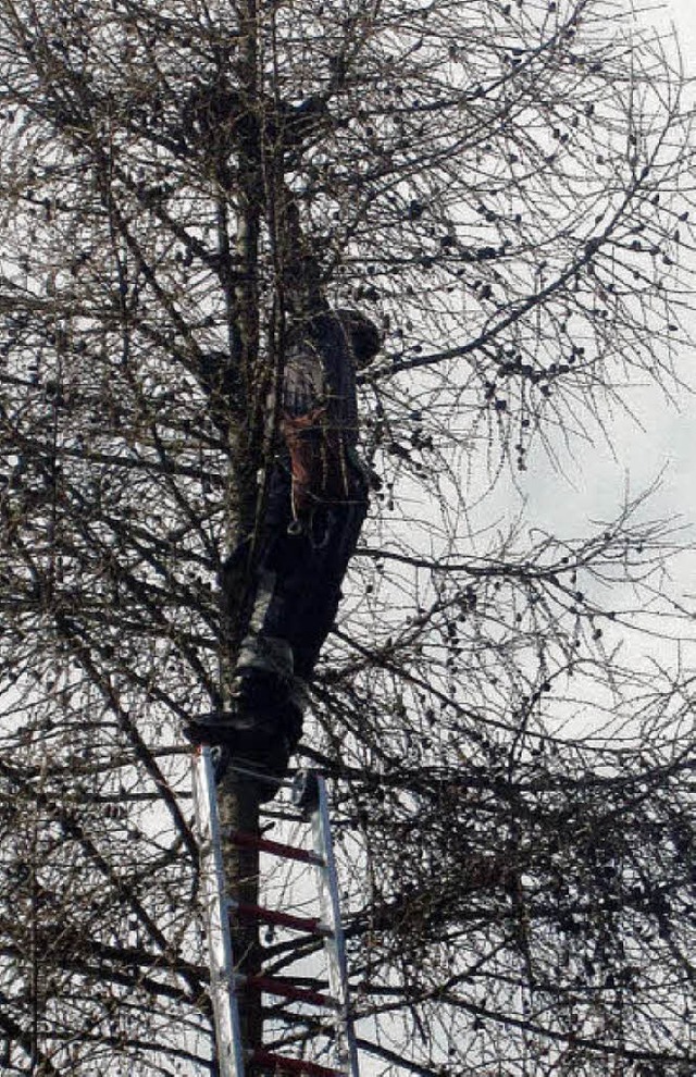 Die Feuerwehr Kandern brachte  eine ve...Katze sicher auf den Erdboden zurck.   | Foto: Privat