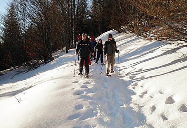 Auch junge Wintersportformen wie das S...chutz am Feldberg aufgenommen werden.   | Foto: Haus der Natur