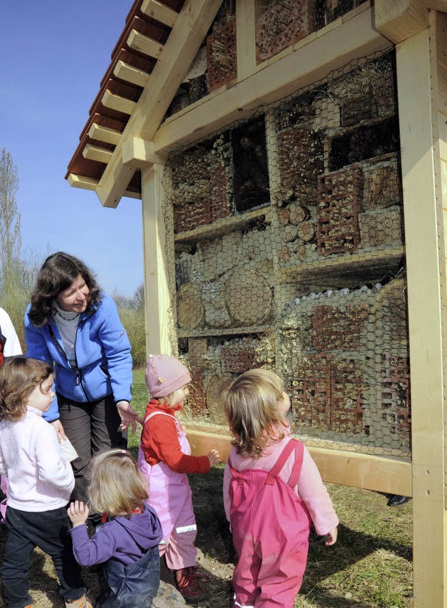 Ein Haus fr Wildbienen steht seit kur... die Gemeinde den Nistplatz geschaffen  | Foto: Markus Zimmermann