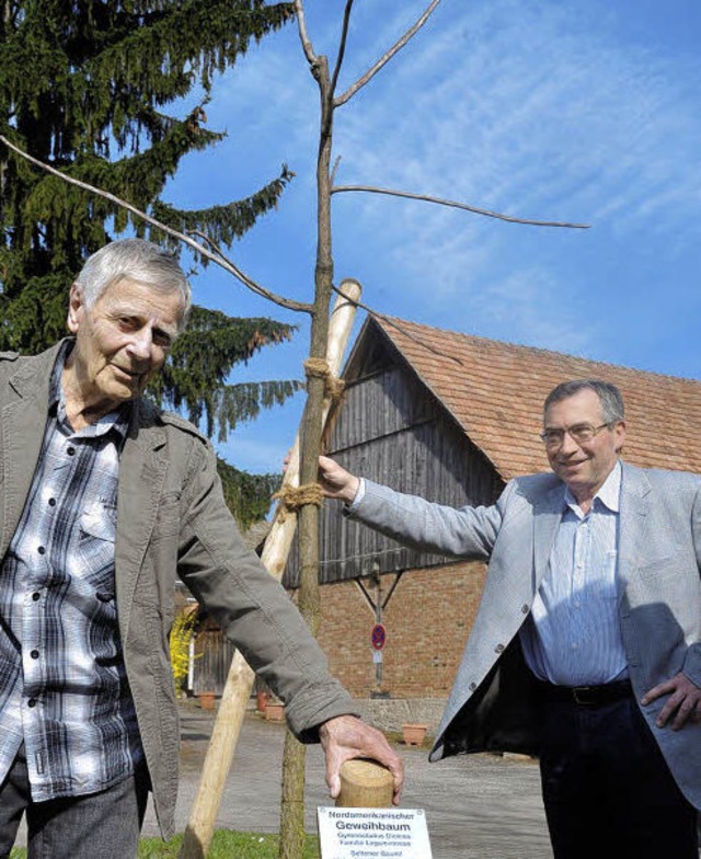 Einen Geweihbaum setzten Baumpate Klau...Altersschwche gefllt werden musste.   | Foto: Volker Mnch