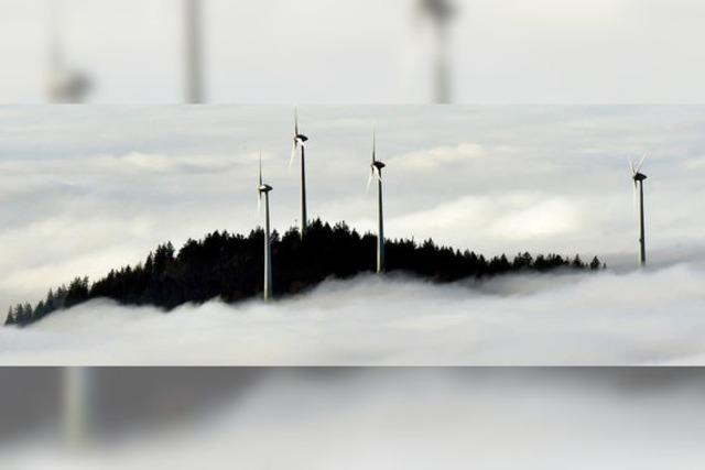 Oberried nicht grundstzlich gegen Windkraft