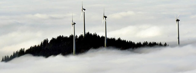 Bei der Suche nach tolerablen  Standor...e im japanischen Fukushima gebrochen.   | Foto: dpa