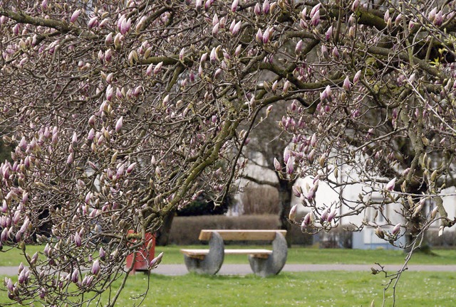 Die Stadt mchte sich  am Interreg-Pro...um die Vielfalt der Natur zu strken.   | Foto: Ingrid Bhm-Jacob