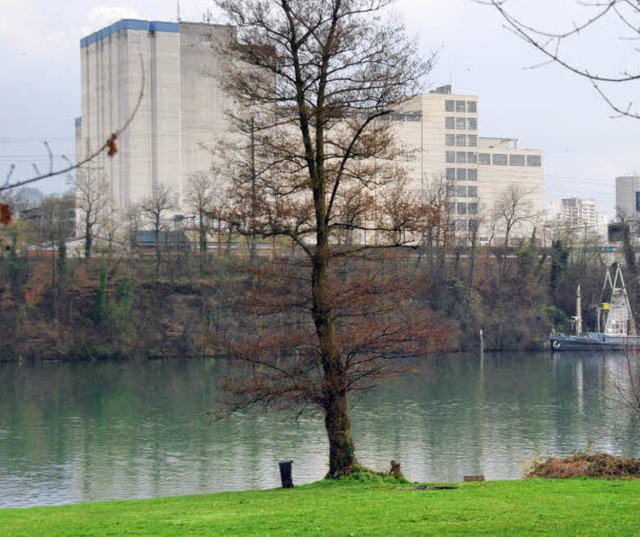 Gegenber des Naherholungsgebiets &#82... Holzkraftwerk errichtet werden soll.   | Foto: Ralf Staub