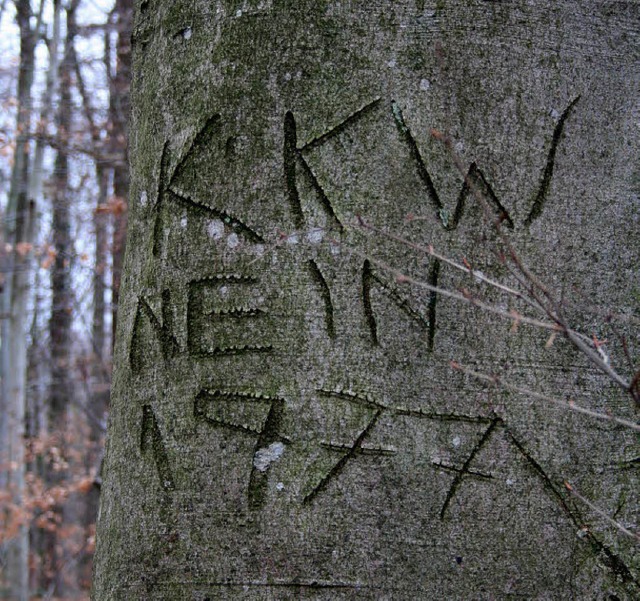 Die Protestbotschaft an einem Baum im ... 34 Jahre alt und immer noch aktuell.   | Foto: Dorothee Philipp