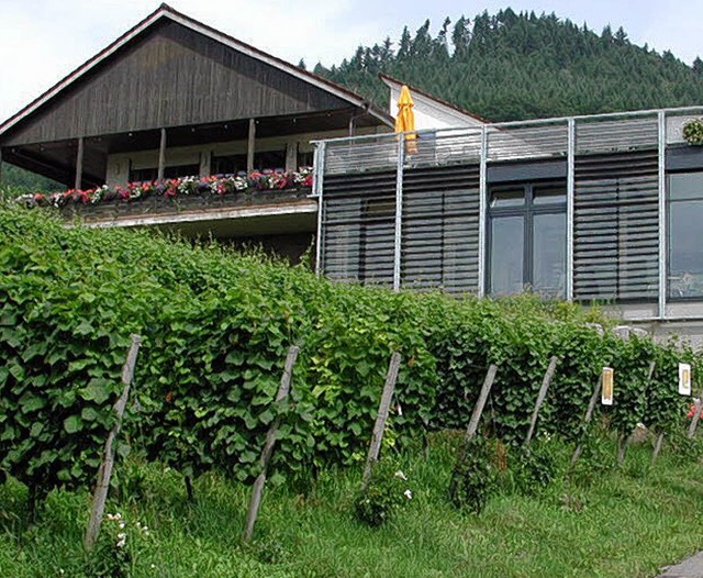 Sptestens 2012 stehen im Weingut Schl...ere Umbau- und Sanierungsarbeiten an.   | Foto: landratsamt