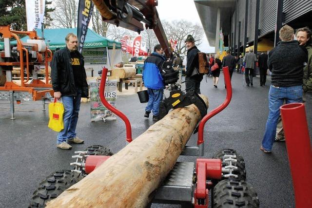 Mit Holz heizen statt mit l oder Gas