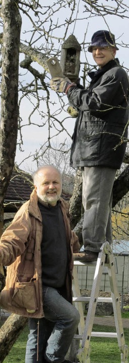 Werner Fischer (oben) und Reinhard Löb... das Vorjahresnest des Feldsperlings.   | Foto: Privat