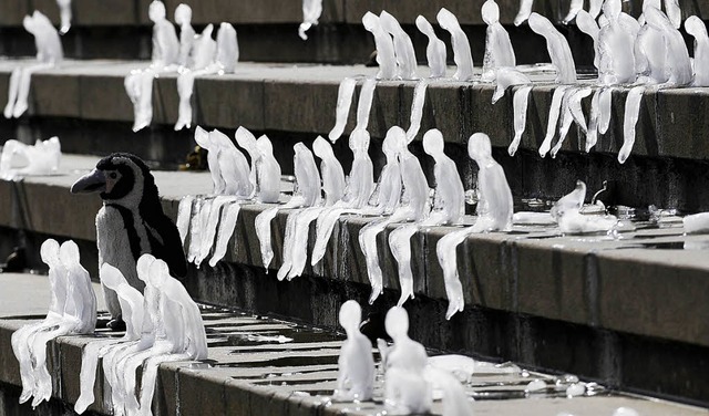 Die Brasilianerin Nele Azevedo schuf 2...schreitenden Klimawandel hinzuweisen.   | Foto: ddp