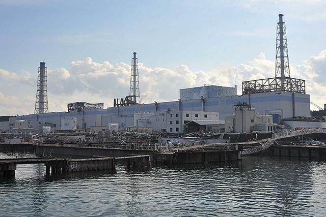 Fukushima: Riss in Reaktorwand