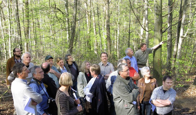 Waldbegehung: Der Gundelfinger Gemeind...gesund und wirft auch noch Profit ab.   | Foto: Kiener