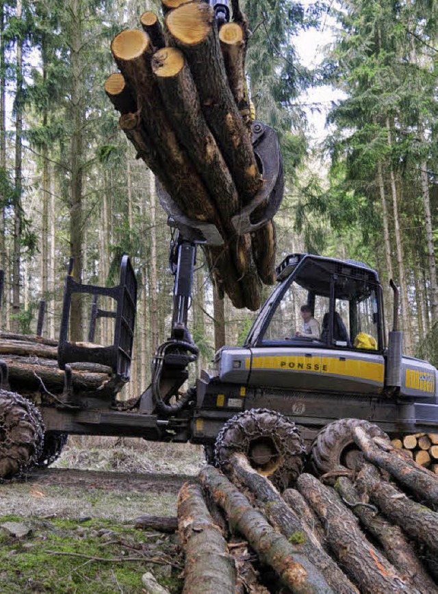 Gute Ernte: Die Holzpreise waren im vergangenen Jahr hoch.   | Foto: dapd