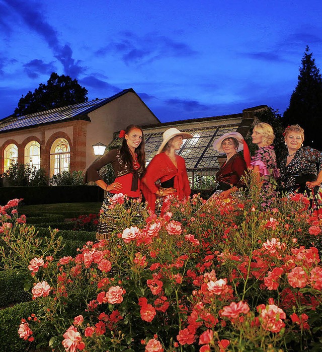 Der Rosenabend im Stadtpark knnte von...inden. Er sollte aber weniger kosten.   | Foto: christoph breithaupt