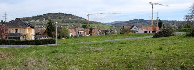 Im wahrsten Wortsinne auf der grnen W...re Hofrtte&#8220; (Bildhintergrund).   | Foto: Markus Maier